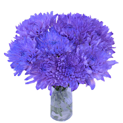 Purple Pastels Tinted Wedding Cremon Mum