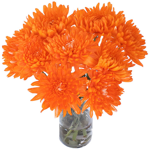 Orange You Glad Tinted Bulk Cremon Flowers