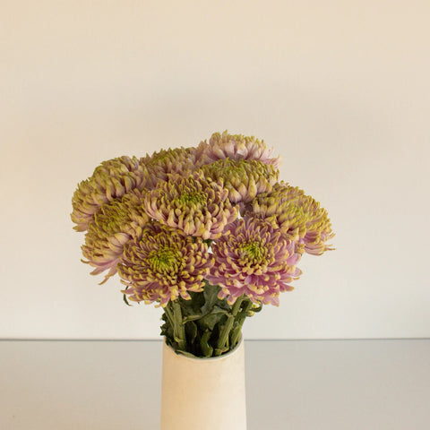 Cremon Rosanno Charlotte Vase - Image