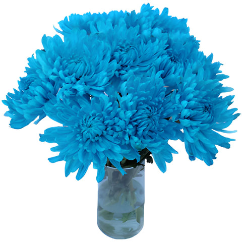 Electric Blue Tinted Wedding Cremon Mum