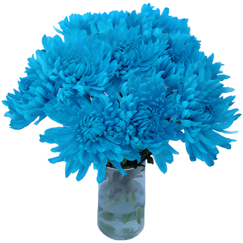 Electric Blue Tinted Wedding Cremon Mum