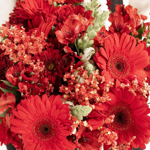 Crimson Fire Combo Pack Apron - Image