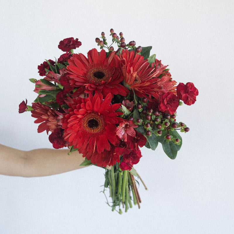 Crimson Fire Combo Pack Recipe - Image