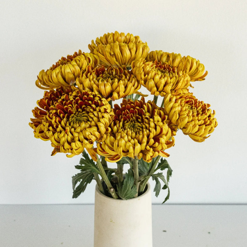 Crimson Spice Vase - Image