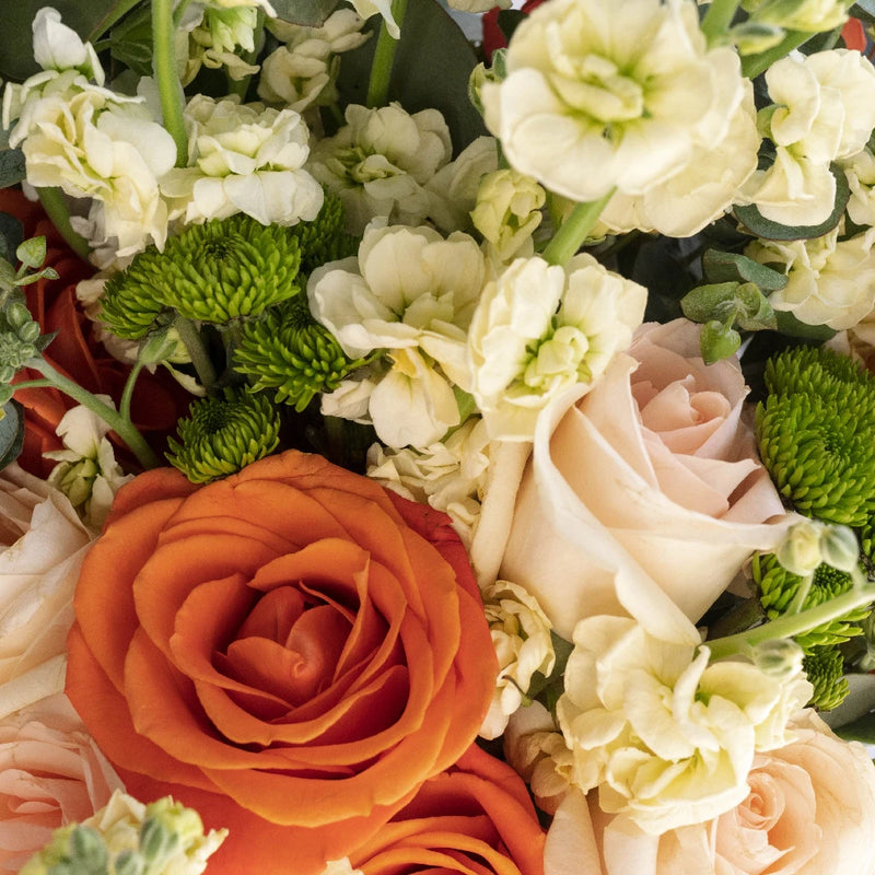 Crushing On Coral Ocean Centerpieces Close Up - Image