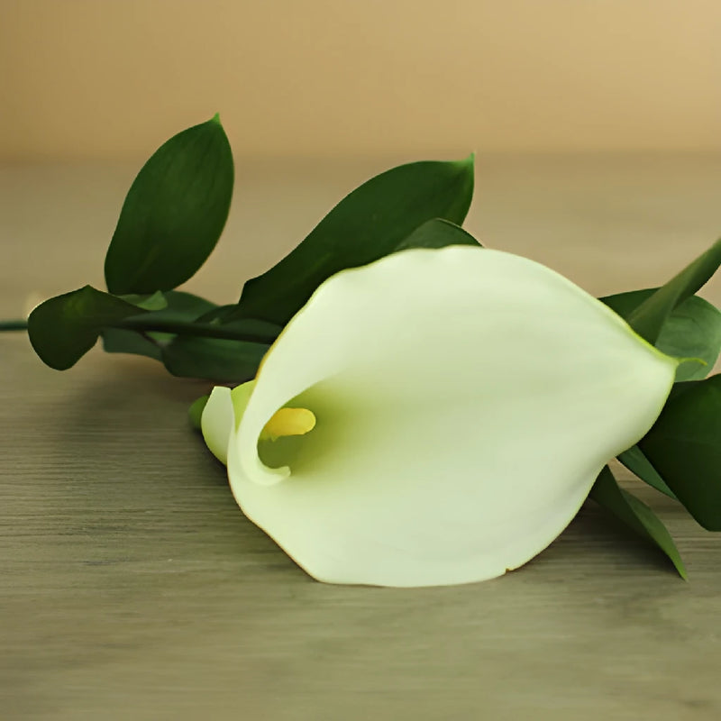 Ivory Mini Calla Lily Centerpieces