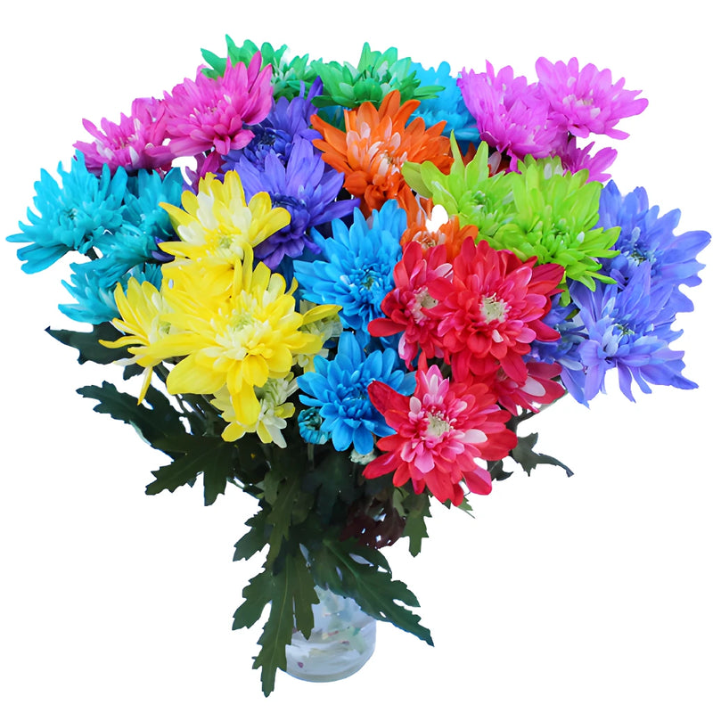 Hot Tinted Cushion Bulk Flowers