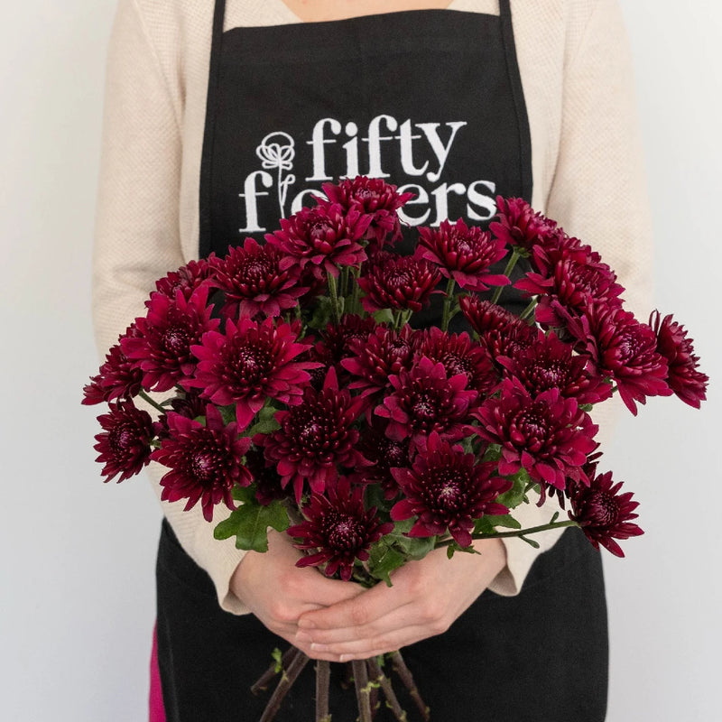 Cushion Paulina Apron - Image