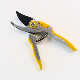 Professional Floral Bunch Cutters