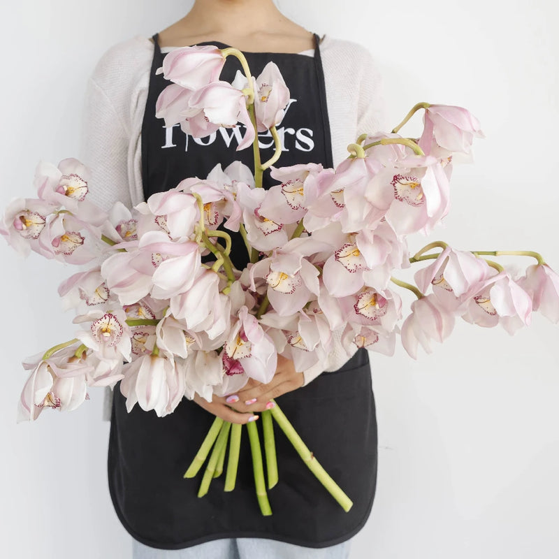 Cymbidium Orchids Baby Pink Burgundy Lip Apron - Image