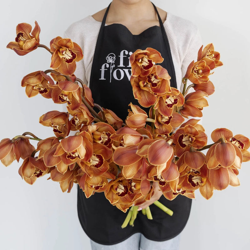 Cymbidium Orchids Bronze Tiger Apron - Image