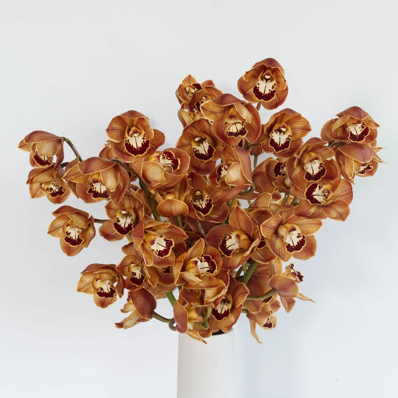 Cymbidium Orchids Bronze Tiger Vase - Image