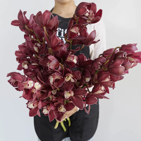 Cymbidium Orchids Burgundy Apron - Image