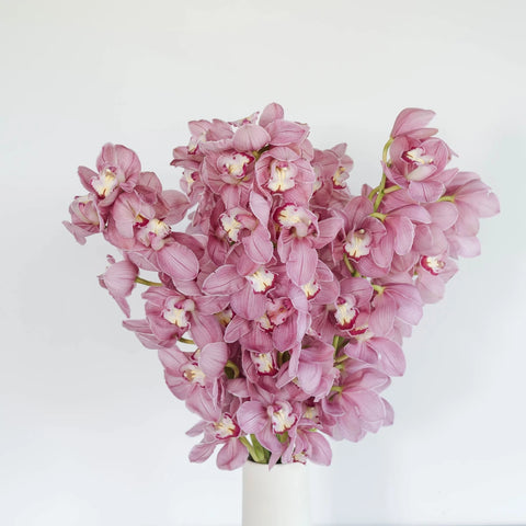 Cymbidium Orchids Hot Pink Vase - Image