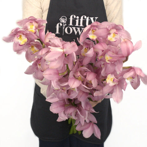 Cymbidium Orchids Pink Bulk Flower Apron - Image