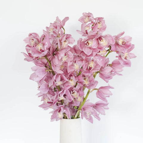 Cymbidium Orchids Pinky Lavender Flower Vase - Image