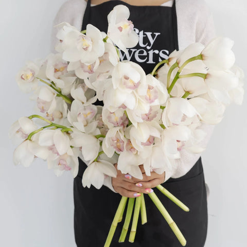 Cymbidium Orchids White And Pink Apron - Image