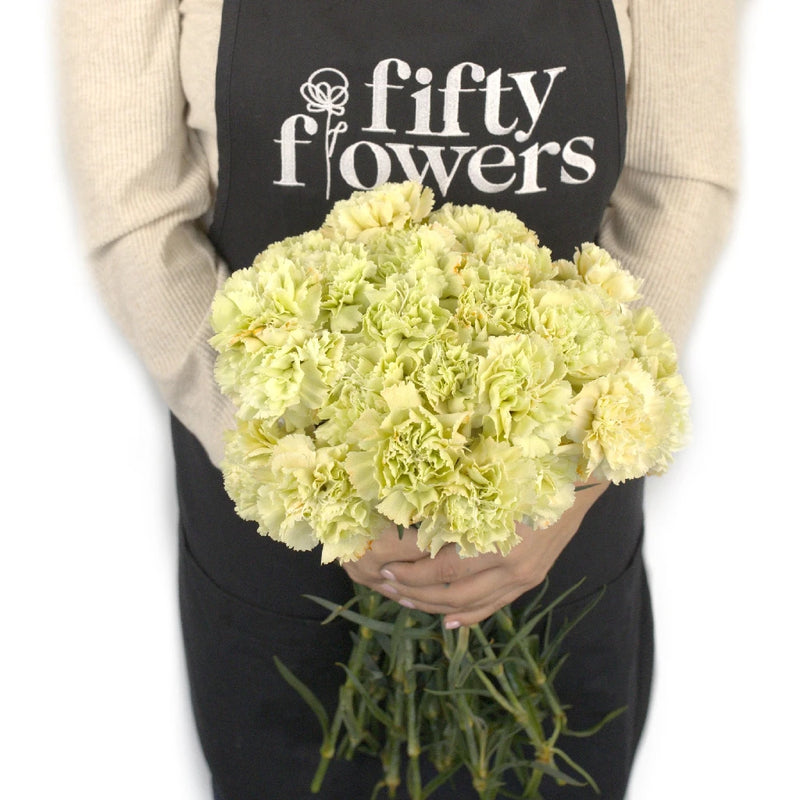 Czestochowa Apron - Image