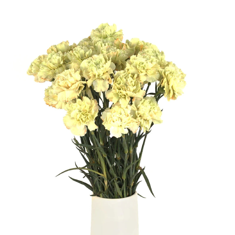 Czestochowa Vase - Image