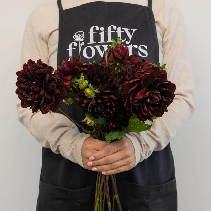 Dahlia Burgundy Black Flower Apron - Image