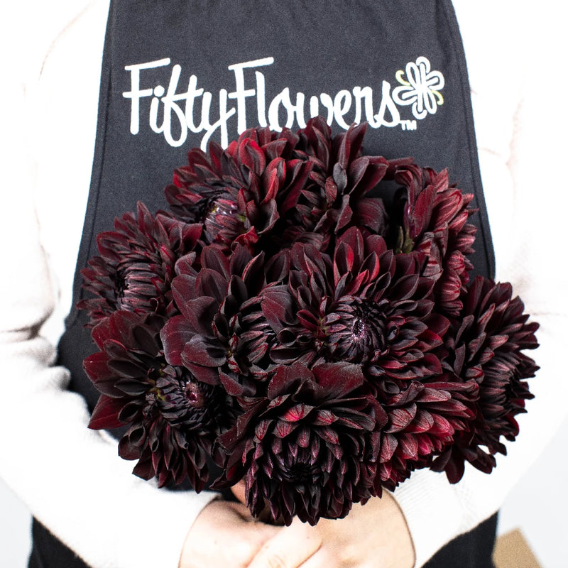 Dahlia Burgundy Black Flower Apron - Image