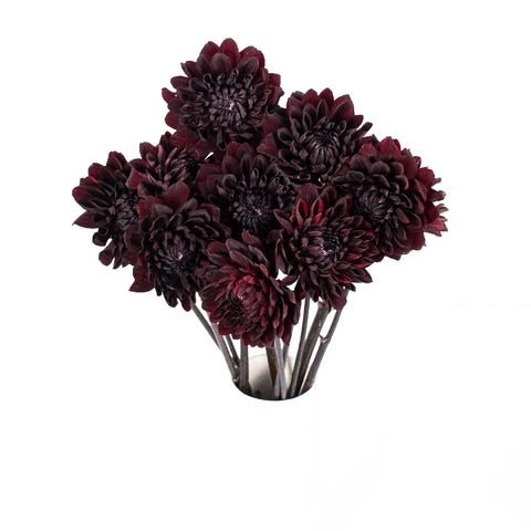 Dahlia Burgundy Black Flower Vase - Image
