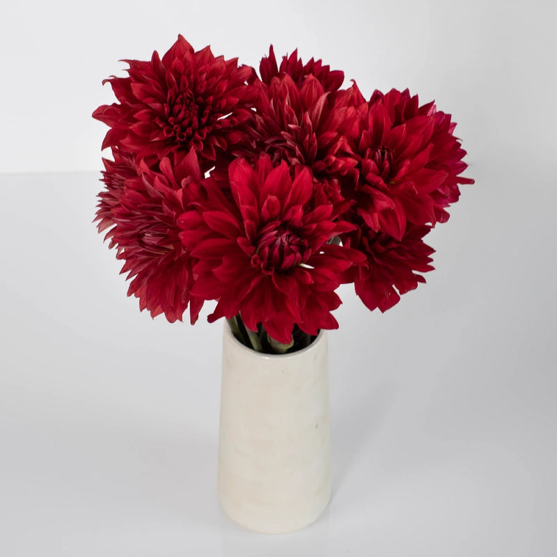 Dahlia Flower Deep Red Vase - Image