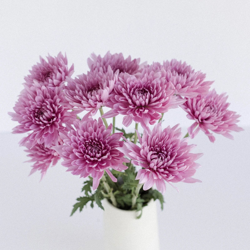 Dahlia Style Cremon Pink Lavender Vase - Image