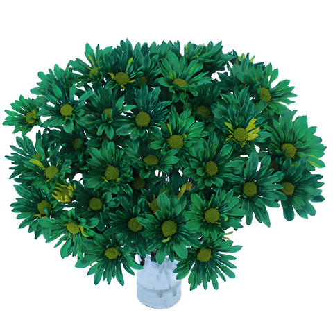 Tinted Green Daisy Flower