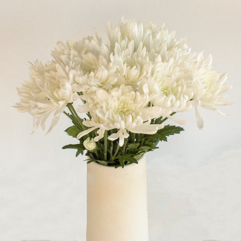 Daisy White Spray Dahlia Style Flower Vase - Image