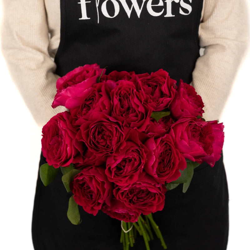 Darcey Rubine Red David Austin Garden Rose Apron - Image