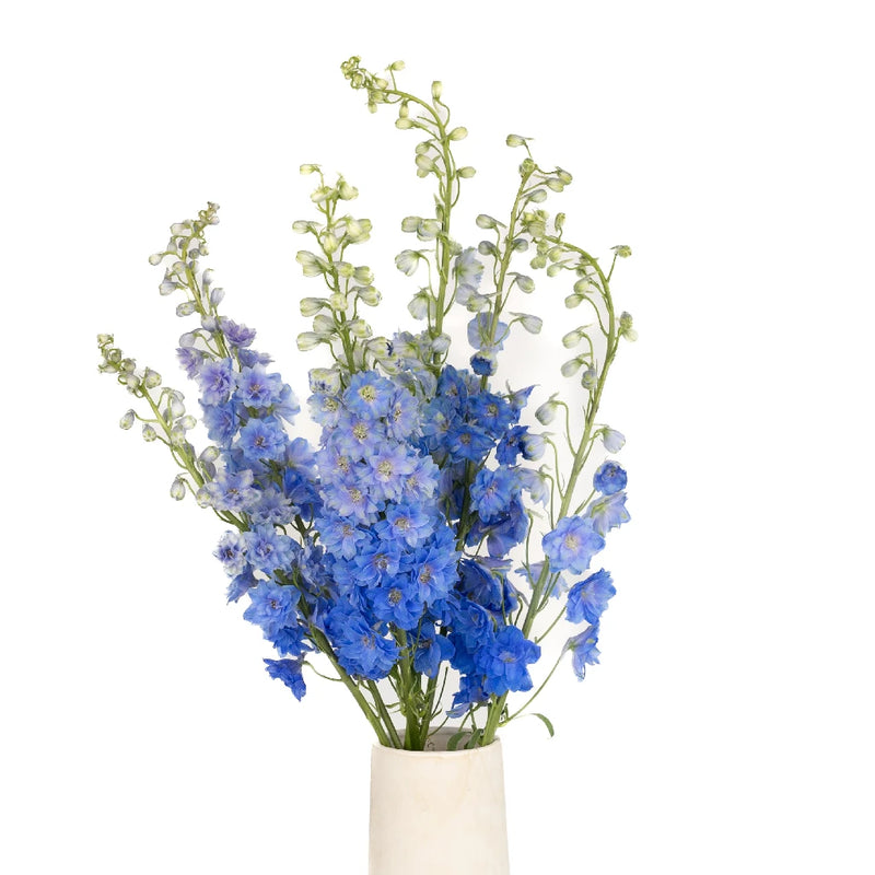 Dark Blue Designer Delphinium Flower Vase - Image