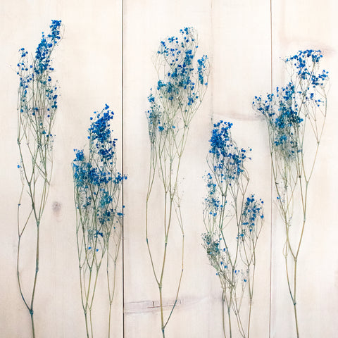 Dark Blue Dried Baby's Breath Flower Apron - Image