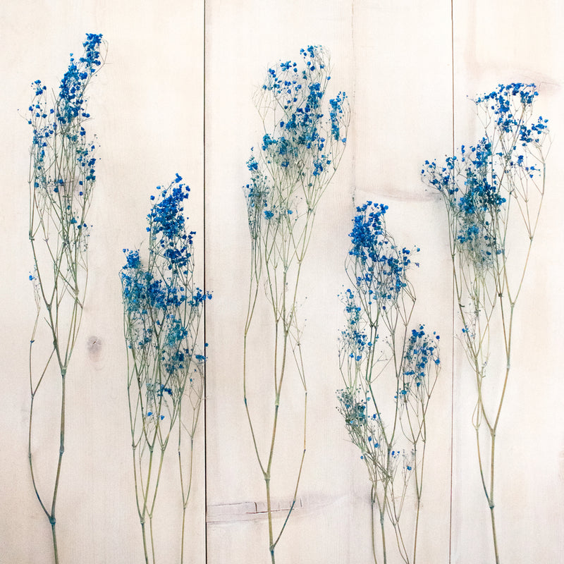 Dark Blue Dried Baby's Breath Flower Apron - Image