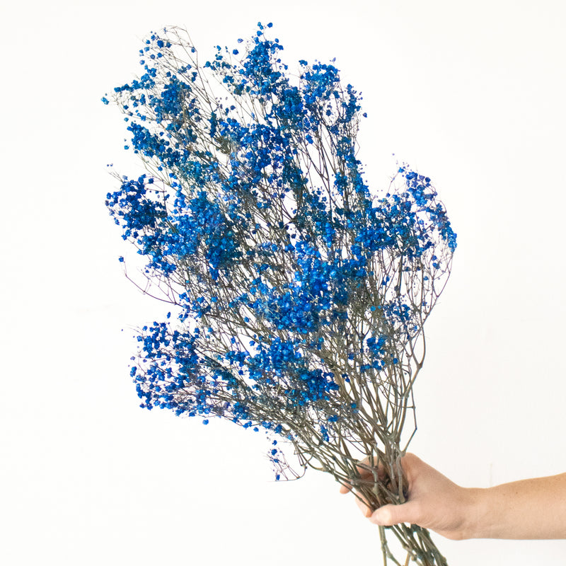 Dark Blue Dried Baby's Breath Flower Stem - Image