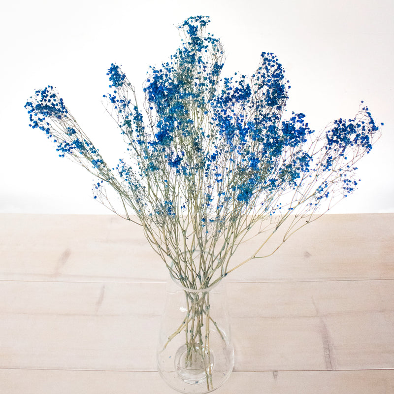 Dark Blue Dried Baby's Breath Flower Vase - Image