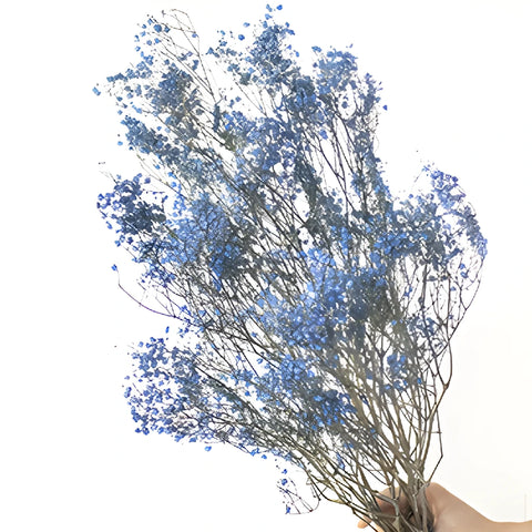 Dark Blue Dried Baby's Breath Flower