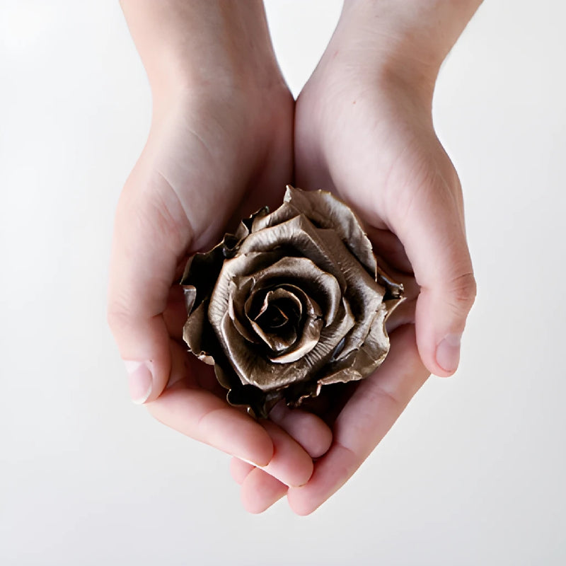 Preserved Dark Gold Rose
