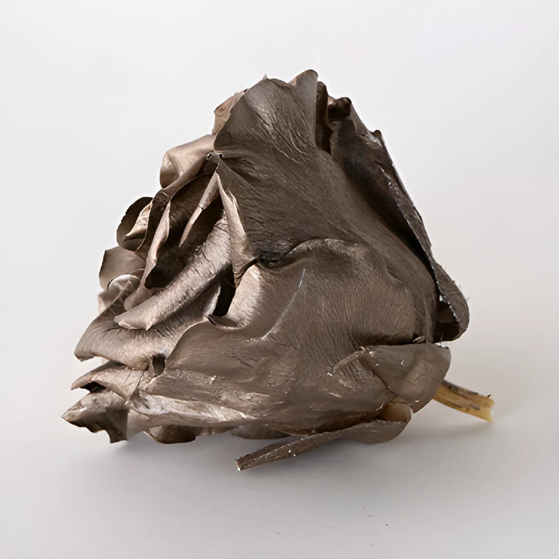 Preserved Dark Gold Rose