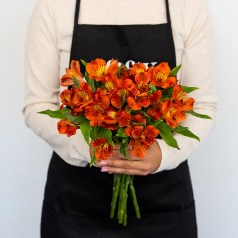 Dark Orange Peruvian Lily Flowers Apron - Image