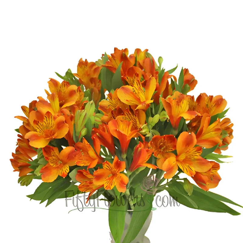 Dark Orange Peruvian Lily Flowers Vase - Image