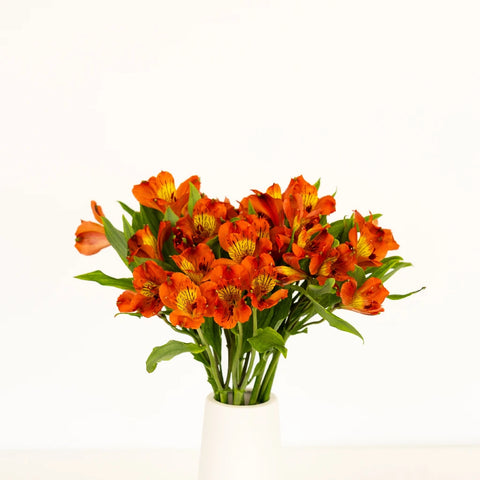 Dark Orange Peruvian Lily Flowers Vase - Image