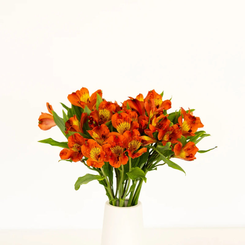 Dark Orange Peruvian Lily Flowers Vase - Image