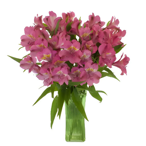 Dark Pink Alstroemeria Flower Vase - Image