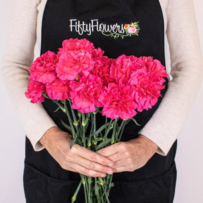 Dark Pink Carnation Flower Bunch in Hand