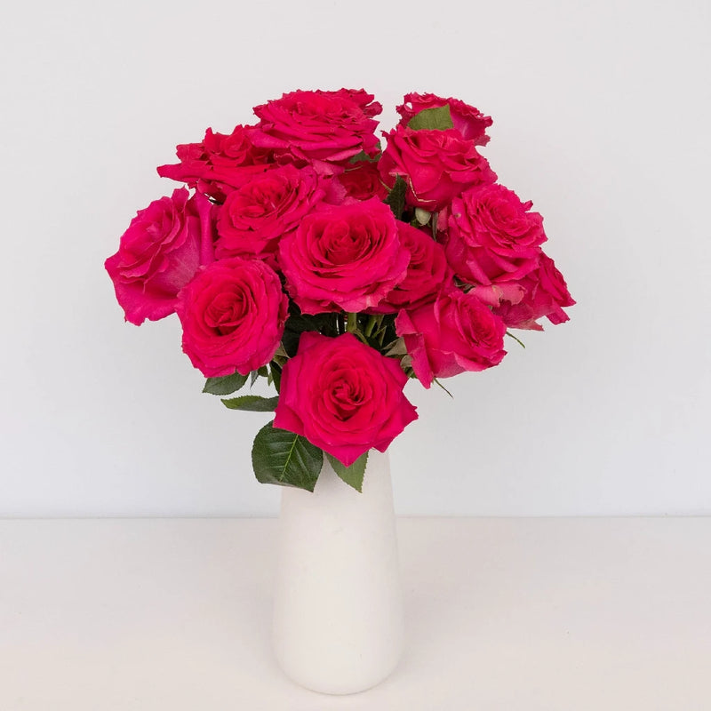 Dark Pink Hot Shot Rose Vase - Image