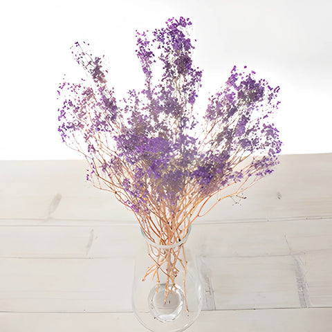 Royal Purple Dried Baby's Breath Flower