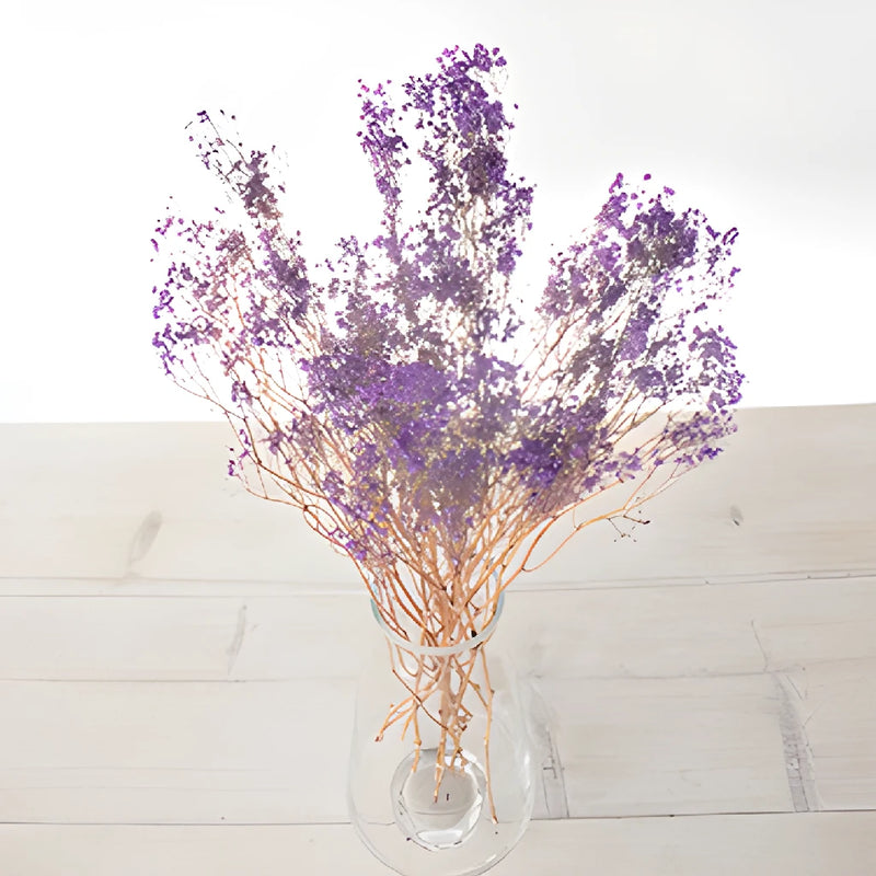 Royal Purple Dried Baby's Breath Flower