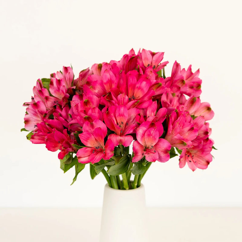 Dark Raspberry Pink Peruvian Lilies Vase - Image