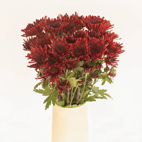 Dark Red Novelty Flower Vase - Image